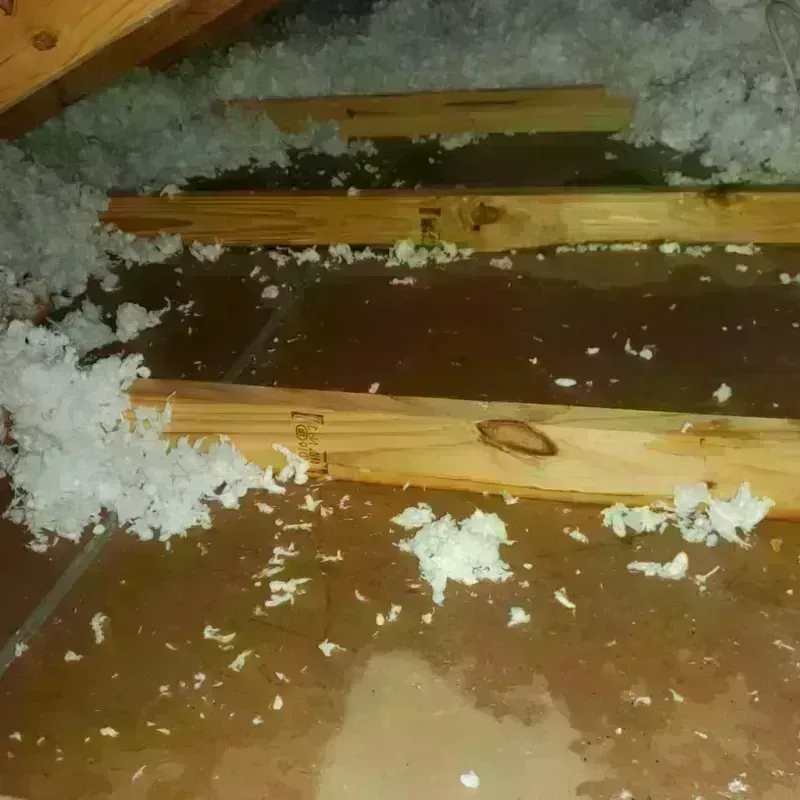 Attic Water Damage in Cottonwood Shores, TX